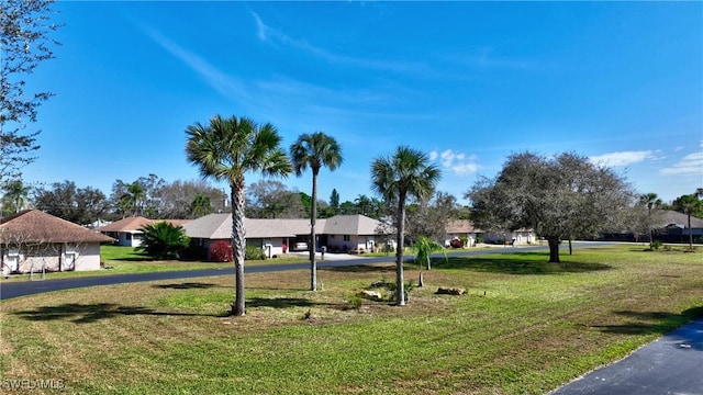 view of yard with driveway and a residential view