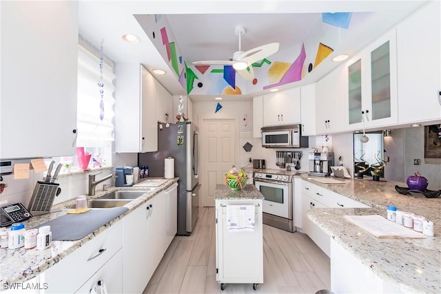 kitchen with white cabinetry, appliances with stainless steel finishes, sink, and a tray ceiling