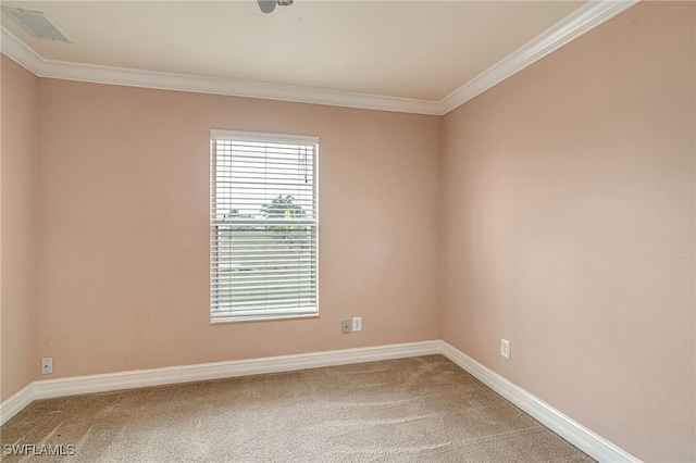 carpeted spare room featuring ornamental molding