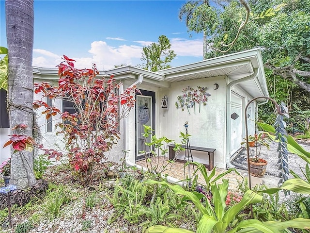 doorway to property featuring stucco siding