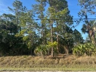 0000 24th Ave NW, Naples FL, 34120 land for sale