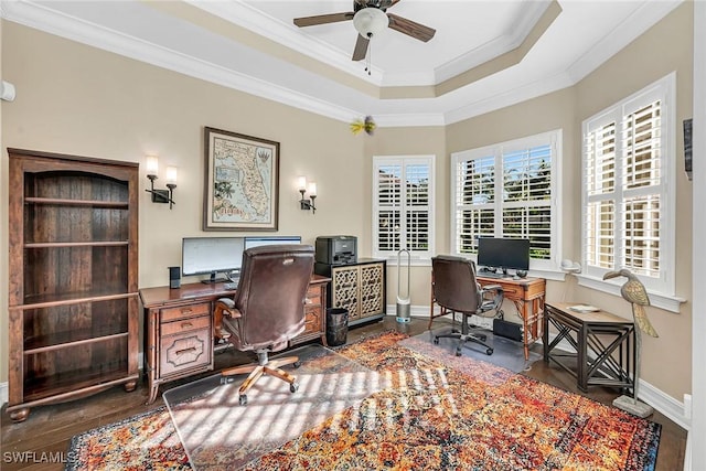 office with a raised ceiling, ceiling fan, crown molding, and dark hardwood / wood-style floors