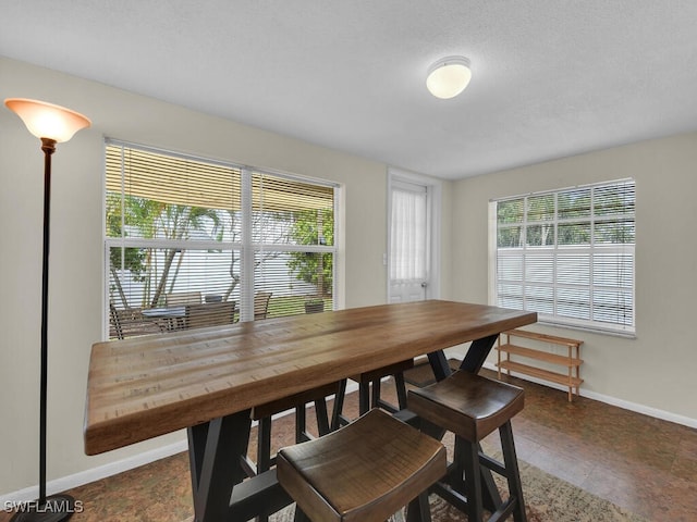 dining area with a healthy amount of sunlight and baseboards