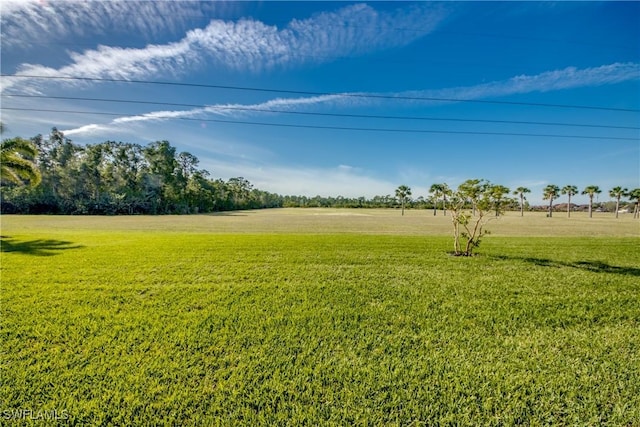 view of yard with a rural view