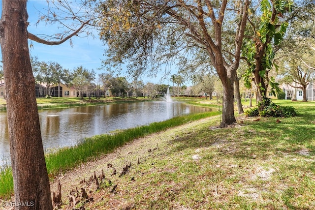 property view of water