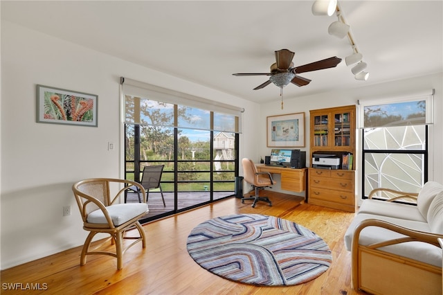 office featuring light wood-type flooring, ceiling fan, and rail lighting