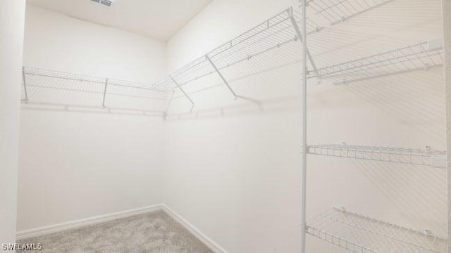 spacious closet with carpet flooring