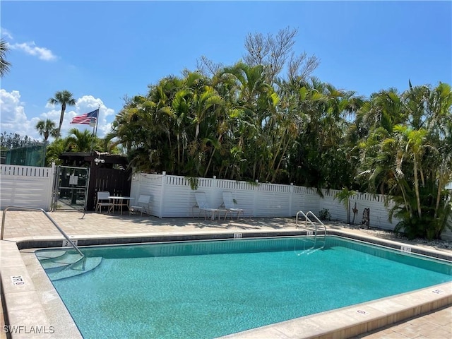 view of swimming pool with a patio area