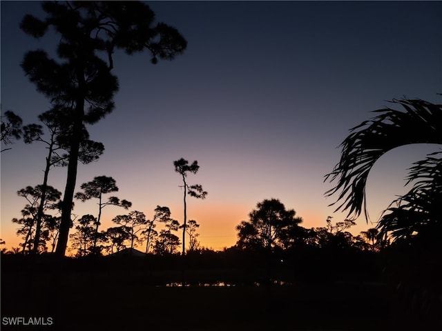 15791 Quail Trl, Bokeelia, FL 33922 - view of local wilderness