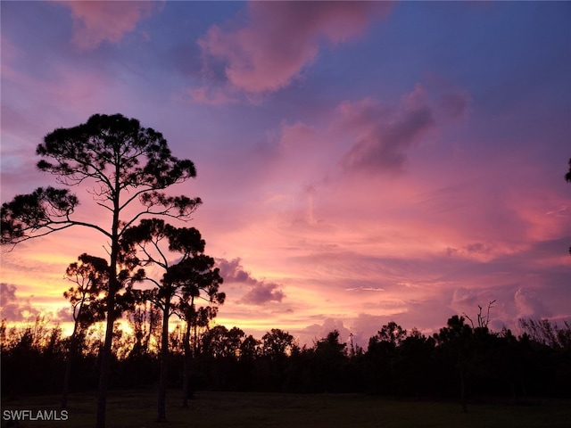 15791 Quail Trl, Bokeelia, FL 33922 - view of landscape