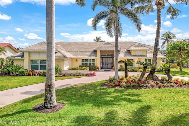 view of front of house featuring curved driveway, a front lawn, and stucco siding