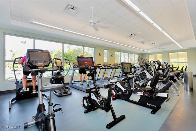 exercise room featuring a ceiling fan, visible vents, and a drop ceiling