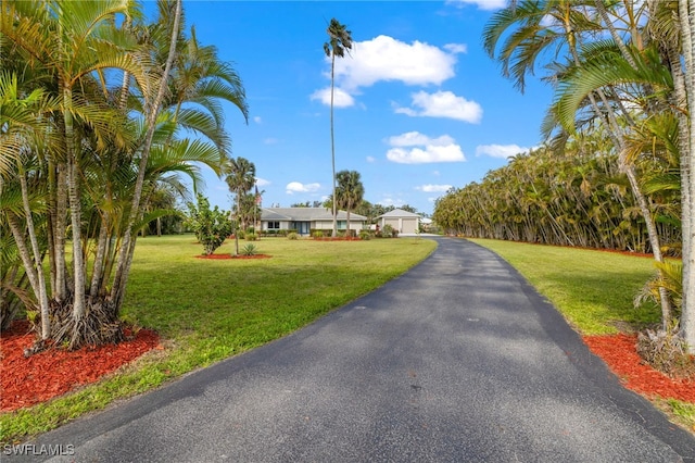 view of road featuring aphalt driveway