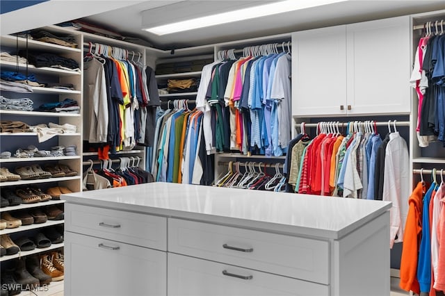 view of spacious closet