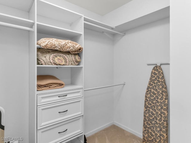 walk in closet with light carpet