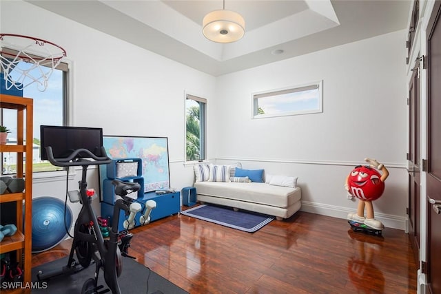 workout area with a tray ceiling, baseboards, and hardwood / wood-style floors