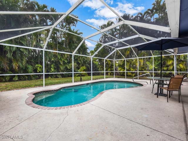 outdoor pool with a lanai and a patio area