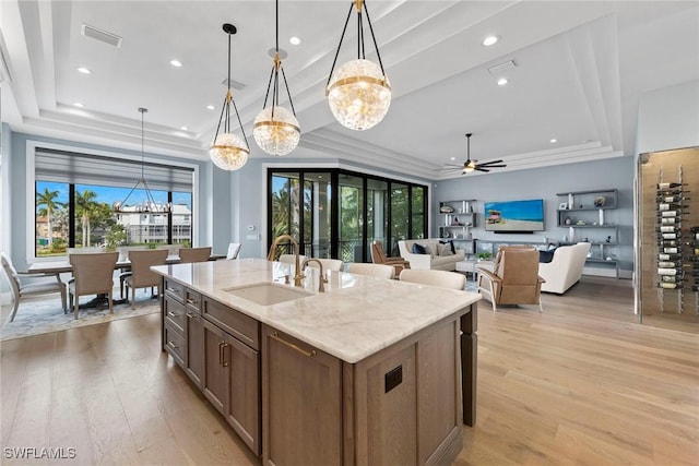 kitchen featuring a sink, a tray ceiling, light wood-style floors, and visible vents