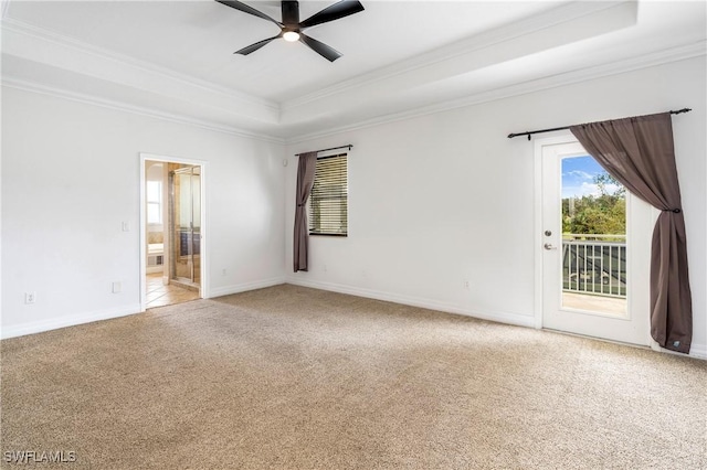 carpeted spare room with ceiling fan, a tray ceiling, baseboards, and ornamental molding