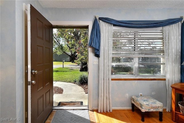 entryway featuring a wealth of natural light, a textured ceiling, baseboards, and wood finished floors