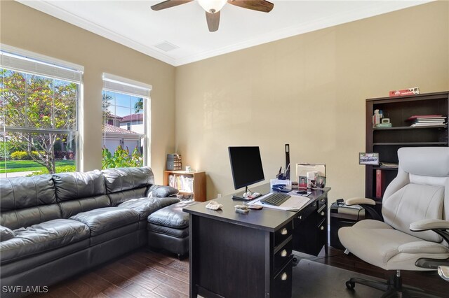 office with dark wood-style floors, ceiling fan, and ornamental molding