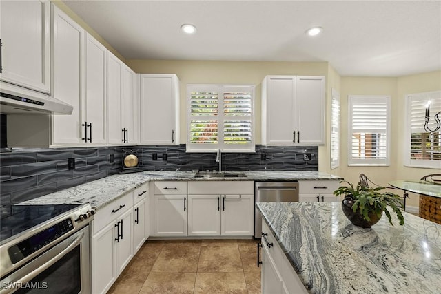8840 Paseo De Valencia St, Fort Myers, FL 33908 - kitchen with stainless steel appliances, plenty of natural light, white cabinetry, and a sink