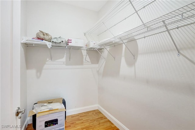 spacious closet featuring wood finished floors