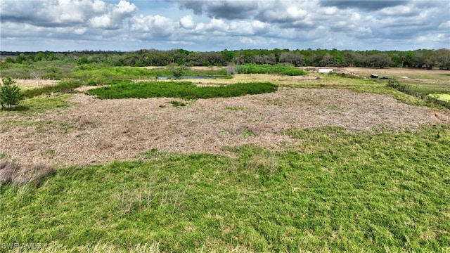 view of local wilderness