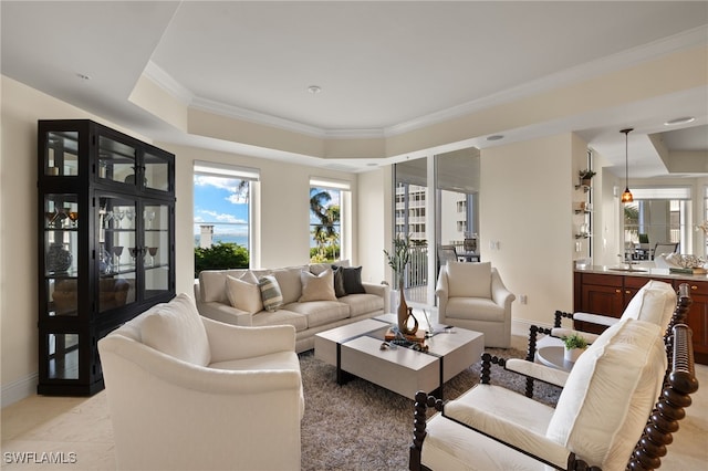 living room featuring baseboards, a tray ceiling, and crown molding