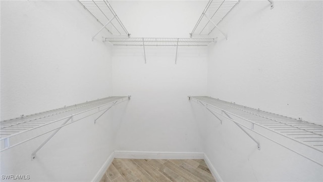 walk in closet with light wood-type flooring