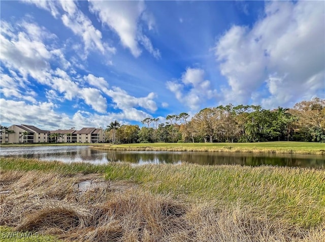 property view of water