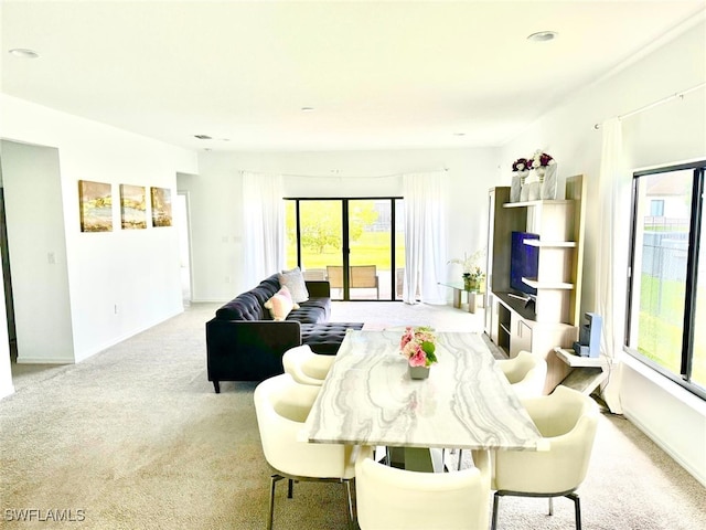 living room with light colored carpet