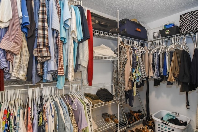 view of spacious closet