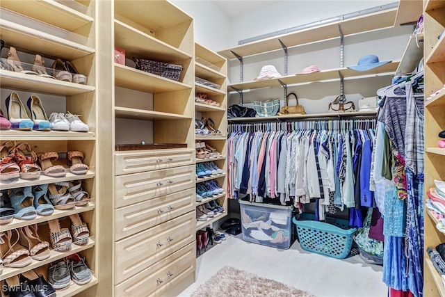 view of walk in closet