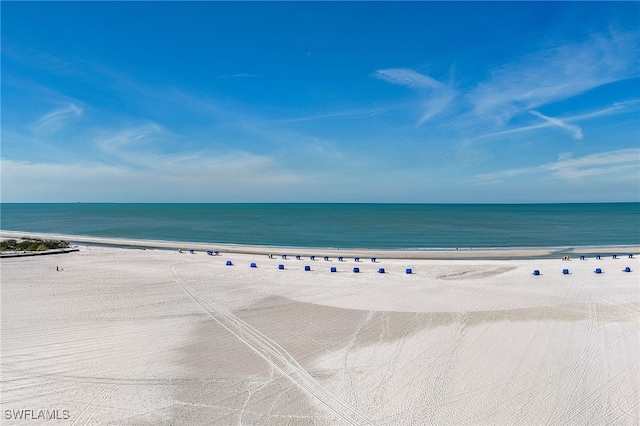 property view of water featuring a beach view