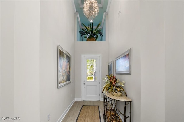 entryway featuring a high ceiling and wood-type flooring