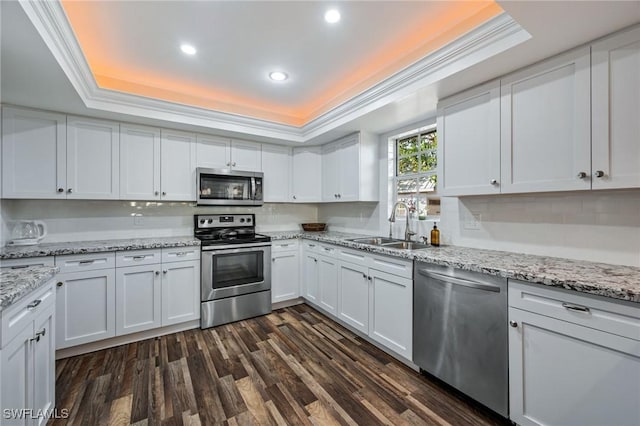 kitchen with stainless steel appliances, a raised ceiling, white cabinetry, and a sink