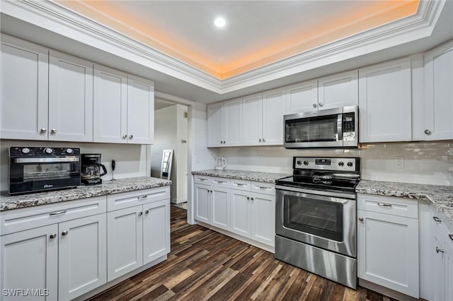 kitchen with ornamental molding, white cabinetry, stainless steel appliances, and a raised ceiling