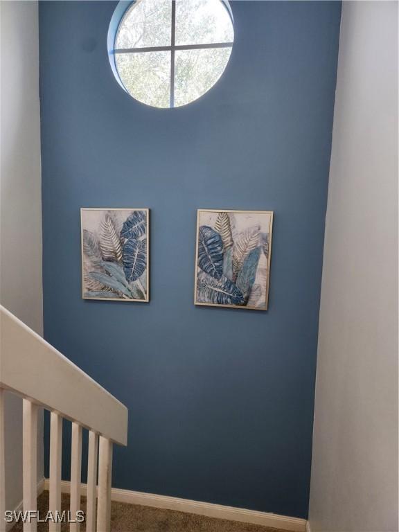 detailed view of baseboards and carpet flooring