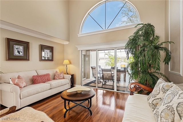 living room with a towering ceiling and wood-type flooring