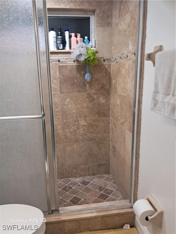 full bathroom with toilet and a stall shower
