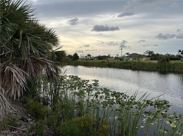 Listing photo 3 for Address Not Disclosed, Cape Coral FL 33993