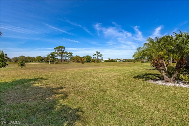 view of yard with a rural view