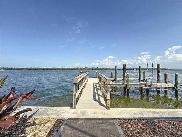 dock area with a water view