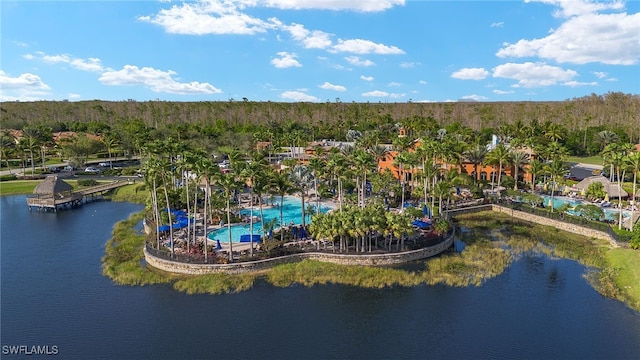 drone / aerial view with a water view and a wooded view