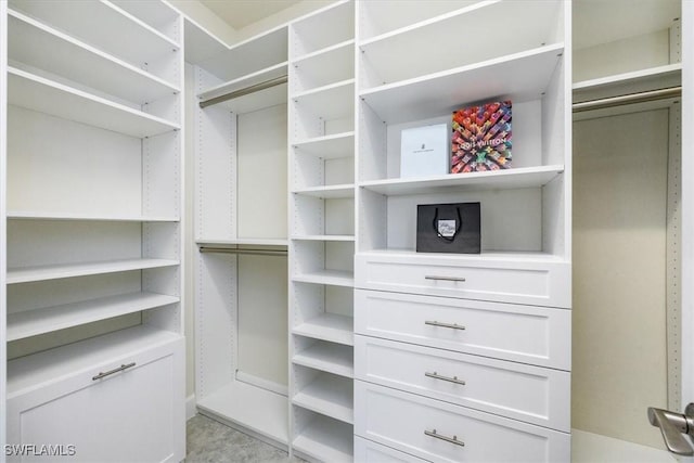 view of spacious closet