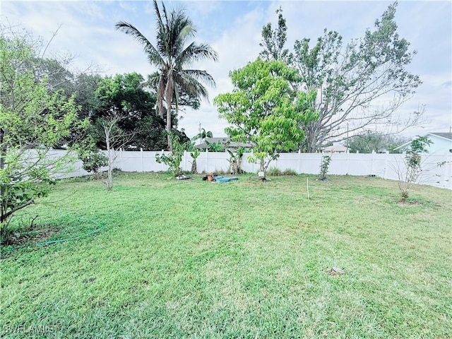 view of yard with a fenced backyard