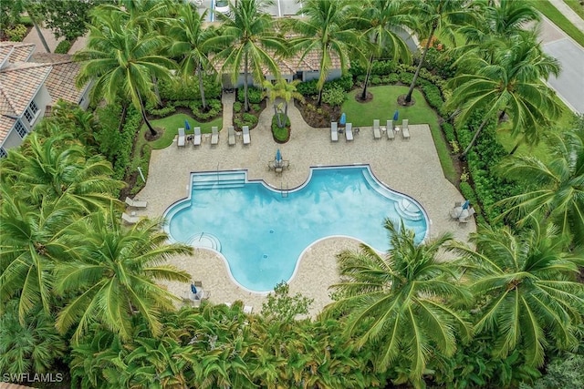 view of swimming pool with a patio