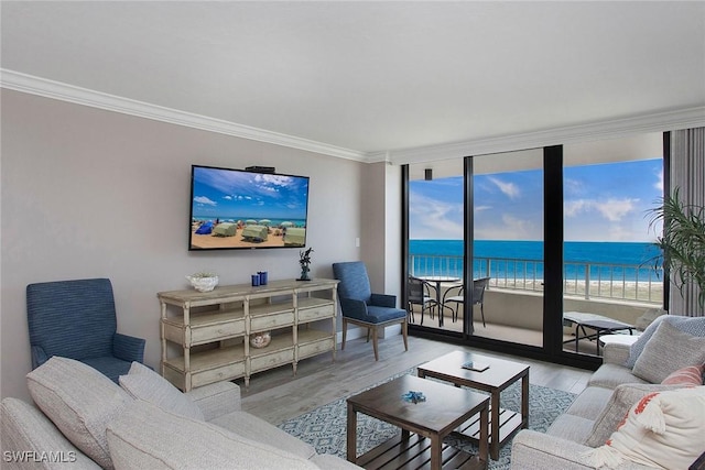 living area featuring light wood-style flooring, floor to ceiling windows, and crown molding