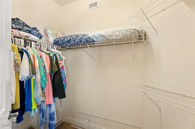 spacious closet with visible vents